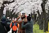 Men stand on a cherry blossom-lined path in Seoul, raising their hands while taking a selfie.