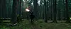 A person rides a horse through a dark pine forest carrying a torch.