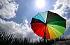 An umbrella is placed under the beaming sunlight in North Gyeongsang on July 12.