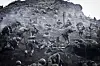 Soldiers in camouflage climbing a steep rocky slope during military training.