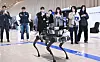 Samsung Electronics' shareholders observe performance of Rainbow Robotics' model in Suwon on March 19, 2025.