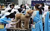 A dog is groomed at a contest in Suwon, Gyeonggi, on Nov. 4, 2025.