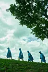 Four people wearing blue ponchos walk along a grassy slope under a large tree.
