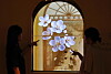 Plum blossom motif projected across an arched museum display with two silhouetted visitors pointing at it.