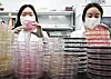 Two researchers detect food-poisoning germs at a laboratory in Gyeonggi in April.