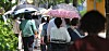 People walk while holding umbrellas to protect themselves from sunlight in Jeonju in North Jeolla on Aug. 3.