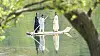 Three people in traditional clothing stand on a raft floating on a calm green river.