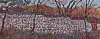 Stone wall on a hillside with leafless trees in the background.