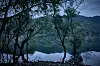 Trees in the foreground frame a still lake with mountains in the background at dusk.