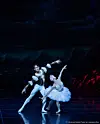 Two ballet dancers in white costumes pose on a dark stage with blue and magenta lights.