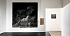 Minimalist gallery space with two black-and-white artworks on white walls and a dark floor.