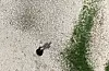 (밀양=뉴스1) 윤일지 기자 = 경남 밀양에 폭염·가뭄이 장기화되고 있는 11일 밀양시 초동면 봉황리 와지저수지 바닥이 메마른 채 갈라져 있다. 2026.8.11/뉴스1