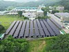 파주 공공 재생에너지 1호 발전소인 문산정수장 태양광발전소 전경. 사진 파주시