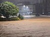 물바다 된 거제 장평동 도로 (거제=연합뉴스) 17일 오전 경남 거제시 장평동 일대에 내린 집중호우로 도로가 침수돼 차들이 물에 잠겨 있다. 2026.8.17 [독자 제공. 재판매 및 DB 금지] ymp@yna.co.kr/2026-08-17 07:38:38/