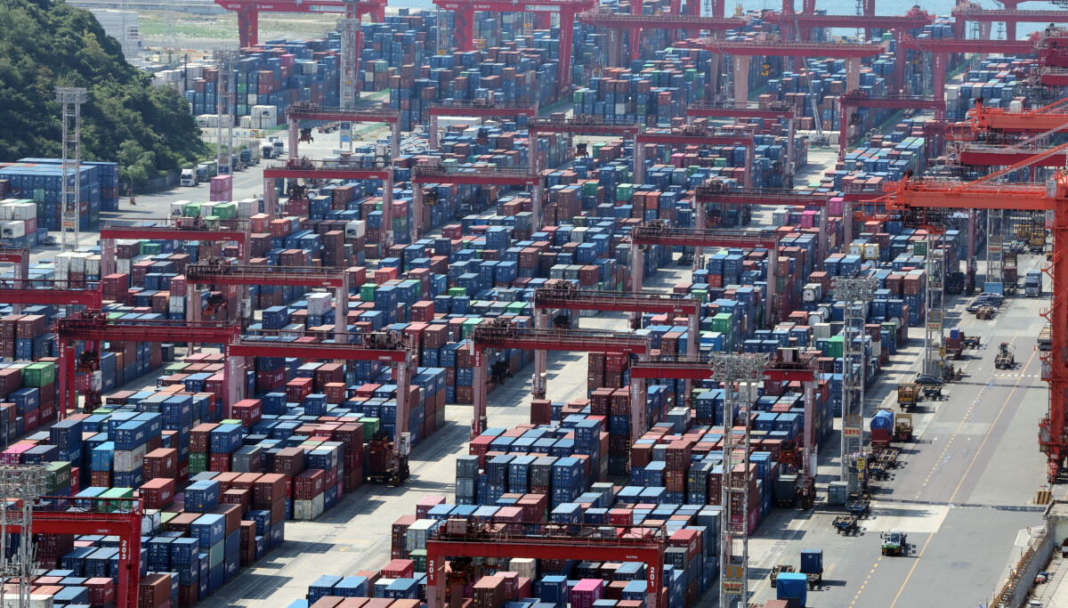 Exports up 56% in first 20 days of August on robust chip shipments