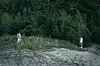 Jeon Do-yeon and Cho Yeo-jeong stand apart in a wooded clearing in Possible Love.