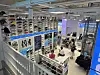 Shoppers browse shoes and clothing inside a brightly lit multi-level sportswear store.