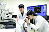 Pusan National University students conduct research at the university lab.