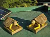 Two yellow turtle sculptures with patterned brown shells on a green rooftop.