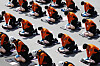 Busan firefighter recruits train in CPR and basic life support