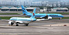 Korean Air faces questions after dog dies in cargo hold
