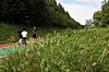 Runners move along a path beside tall grasses and Yangjae Stream in Seoul.