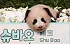 Giant panda cub Shu Bao, the fourth panda born in Korea, is held by a zookeeper during her first public appearance at Everland in Yongin, Gyeonggi, on Sept. 11.