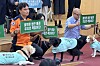 Retired national service animals attend a policy forum on legislation and support for service animals at the National Assembly Members’ Office Building in western Seoul on Sept. 9, 2026.