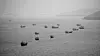 The Issue of Troop Deployment to the Strait of Hormuz, a Careful Decision Needed by the South Korean Government