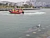 Members from the Korea Busan Coast Guard Station work to drive away a bronze whaler measuring about 3 to 4 meters at North Port Waterfront Park in Busan on Sept. 18.