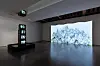 その他 FACE & shinknownsuke ART EXIBITION Lee Lee-nam's Seoul exhibition transforms water microbes into