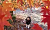 A child frolics while tossing autumn leaves in North Jeolla on Nov. 30, 2025.
