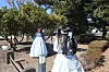 Foreign visitors dressed in hanbok (traditional Korean attire) take photos on Jeju Island on Feb. 17.