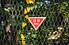 DMZ mine blast was a North Korean provocation, not an 'accident'