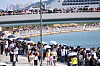 visitors crowd the waterfront areas to see a shark in a canal at the North Port Waterfront Park in Busan on Oct. 4.