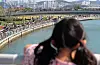 A child leans against a railing as they wait for the shark to appear in a waterway at North Port Waterfront Park in Busan, on Oct. 5.