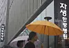 경찰, 자생한방병원 압수수색 (서울=연합뉴스) 신준희 기자 = 9일 서울 강남구 자생한방병원 앞을 시민들이 지나고 있다. 경찰은 이날 수백억원대 보험사기 혐의를 받는 자생한방병원을 압수수색했다. 앞서 삼성화재와 현대해상 등 4개 보험사는 자생한방병원이 교통사고 환자들에게 한약을 무분별하게 처방해 보험금 수백억원을 챙겼다며 보험사기방지 특별법 위반 혐의 고소장을 경찰에 제출했다. 2026.7.9 hama@yna.co.kr/2026-07-09 12:36:58/