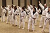 Participants of the King Sejong Institute Foundation's annual invitational training program take part in a taekwondo lesson.