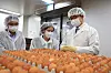 Officials from the Agriculture Ministry inspect eggs at a distribution center in Gyeonggi on Sept. 15.