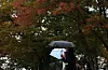 People walk under umbrellas in central Seoul on Oct. 18.