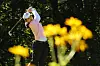Aug 21, 2026; Edmonton, Alberta, CAN; Hye-Jin Choi watches her drive from the seventh tee box during the second round of the CPKC Women's Open golf tournament at Royal Mayfair Golf Club. Mandatory Credit: James Maclennan-Imagn Images/2026-08-22 09:37:47/