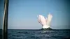 A South Korea-developed hypersonic glide vehicle is fired for its launch test on Oct. 8.