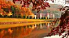 Foliage trees line a pond on Hankuk University of Foreign Studies' Global Campus in Yongin, Gyeonggi.