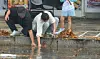 폭우 속 선행 (고양=연합뉴스) 배재만 기자 = 폭우가 쏟아진 18일 경기도 고양시 일산서구에서 시민들이 낙엽이 배수구를 막아 도로가 물바다가 되자 손으로 낙엽을 걷어내고 있다. 2026.10.18 scoop@yna.co.kr/2026-10-18 15:15:22/