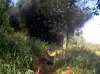 A footage shows an operation to remove North Korean land mines south of the military demarcation line on Oct. 5.