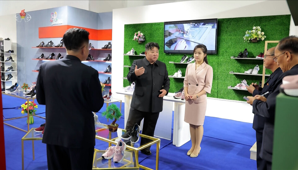 김정은 사망설 확산 총정리|뇌출혈·중국 베이징 이송설 진실·북한 관영매체 활동사진 공개·김여정 후계설