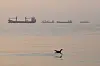 A bird flies low over the water as cargo ships lie at anchor in the Strait of Hormuz off Bandar Abbas, Iran, early Saturday, Oct. 24, 2026. (Amirhosein Khorgooi/ISNA via AP) ISRAEL OUT; NO ACCESS ISRAEL MEDIA/PERSIAN LANGUAGE TV STATIONS OUTSIDE IRAN/STRICTLY NO ACCESS BBC PERSIAN/VOA PERSIAN/MANOTO TV/IRAN INTERNATIONAL TV/2026-10-24 18:31:37/