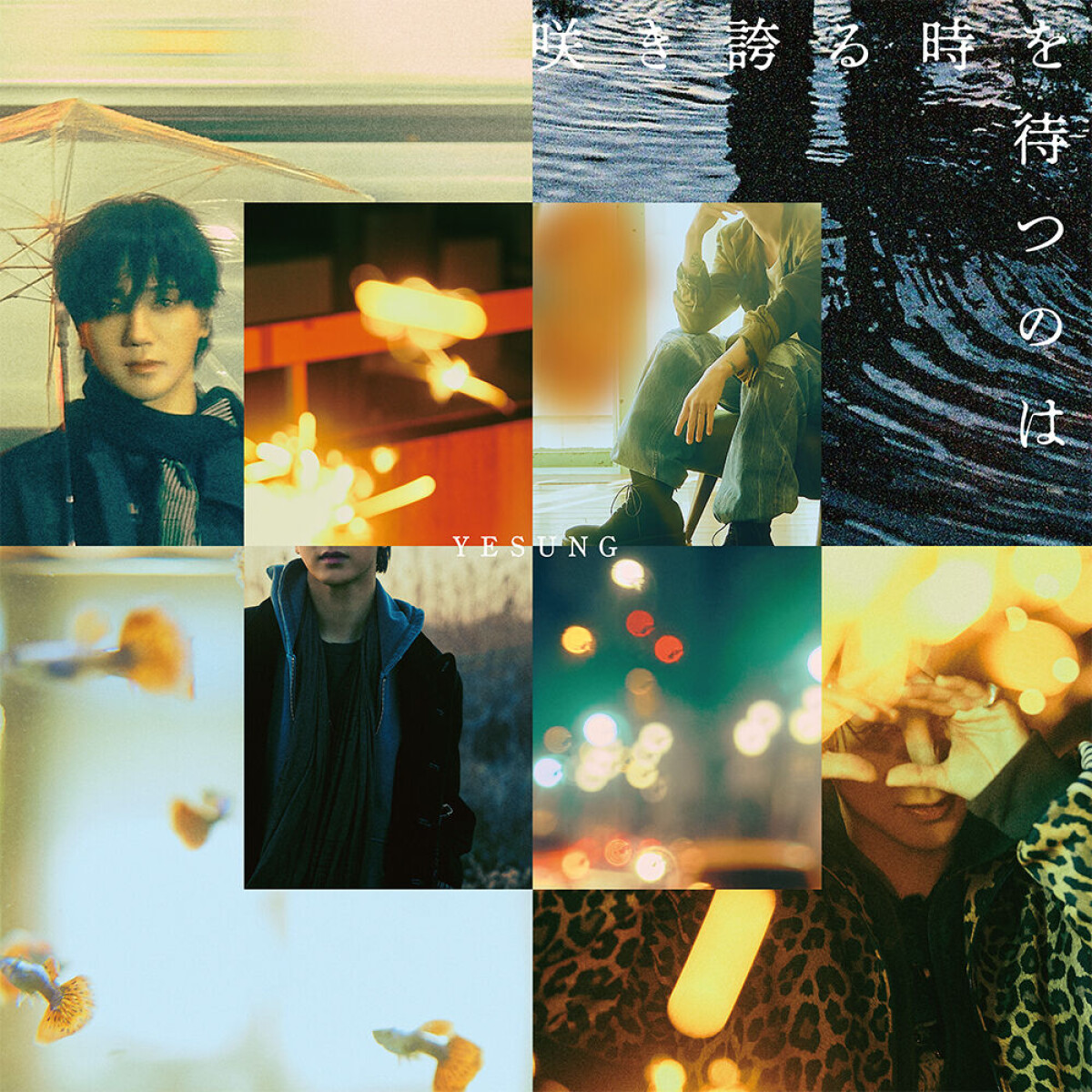 Super Junior's Yesung to release second full-length Japanese album
